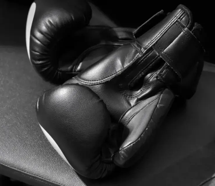 articles de boxe et MMA